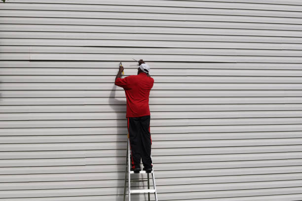 Best Stone Veneer Siding  in Eagle Grove, IA